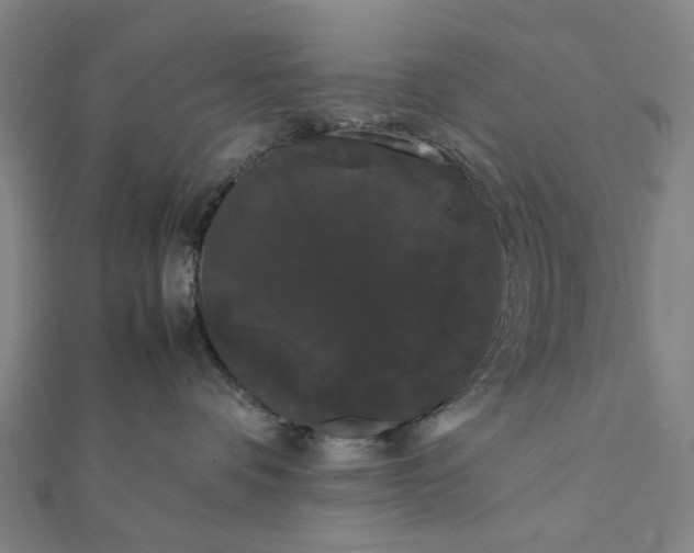 X0000112070336200908181225