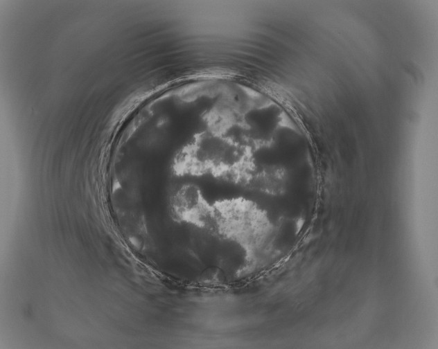 X0000112070337200908181225
