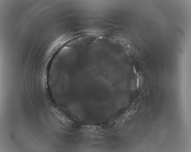 X0000112070339200908181225