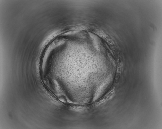 X0000112070341200908181225