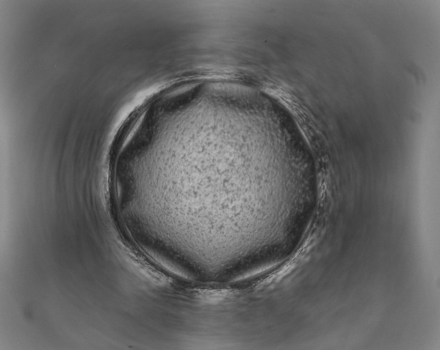 X0000112070342200908181225