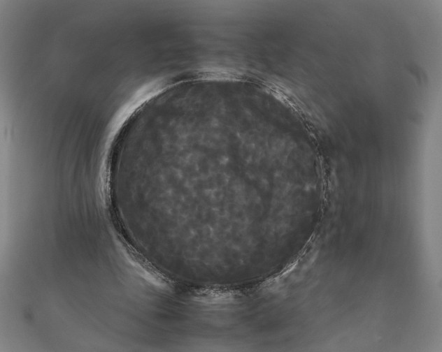 X0000112070343200908181225