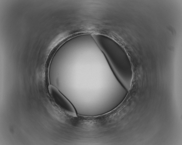 X0000112070344200908181225