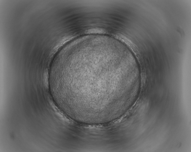 X0000112070345200908181225