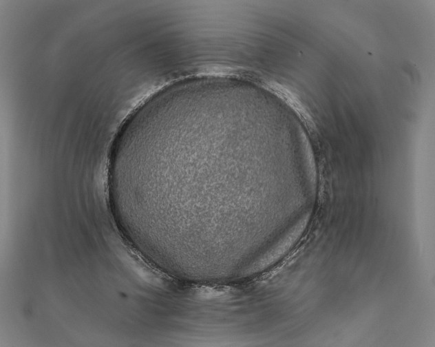 X0000112070346200908181225