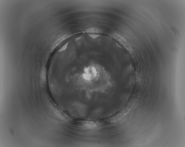 X0000112070347200908181225