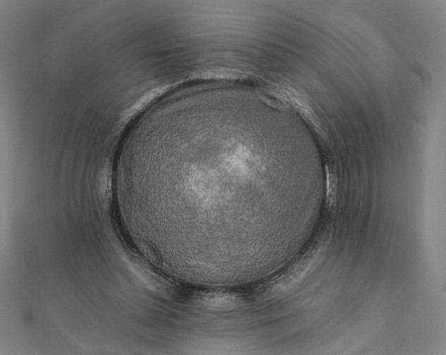X0000112070348200908181225