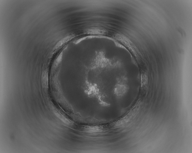 X0000112070349200908181225