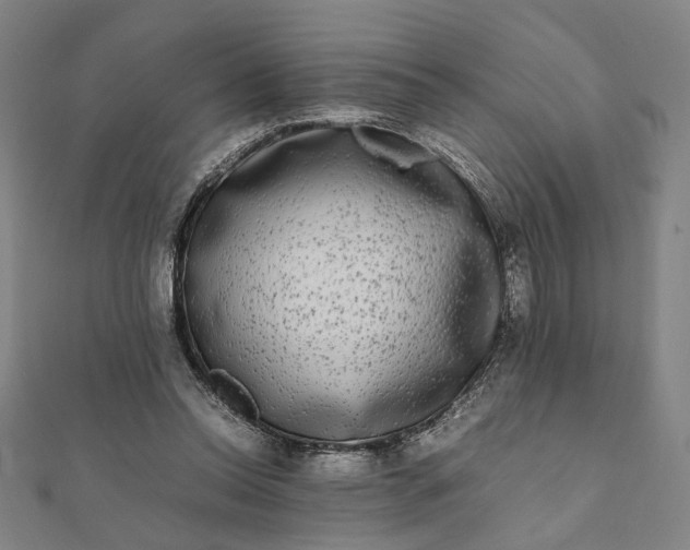 X0000112070350200908181225