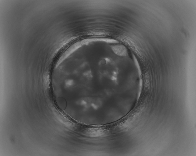X0000112070351200908181225