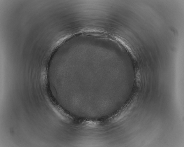 X0000112070352200908181225