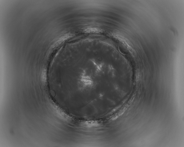 X0000112070353200908181225