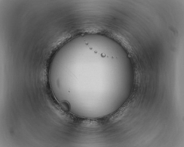 X0000112070354200908181225
