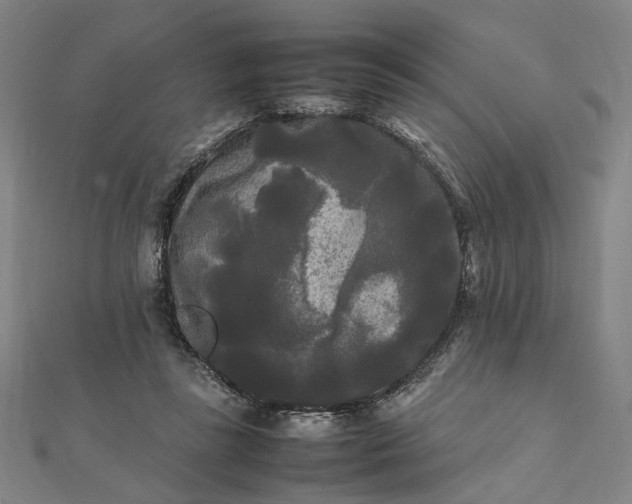 X0000112070355200908181225