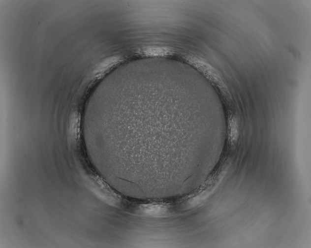X0000112070356200908181225