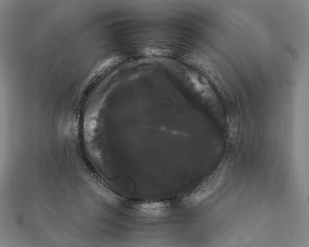 X0000112070357200908181225
