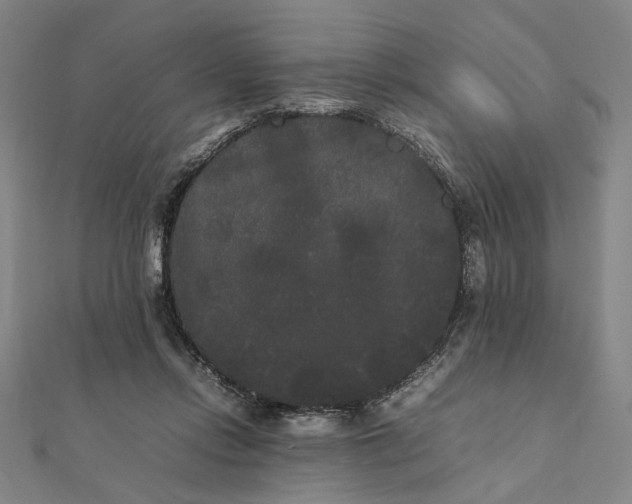 X0000112070358200908181225