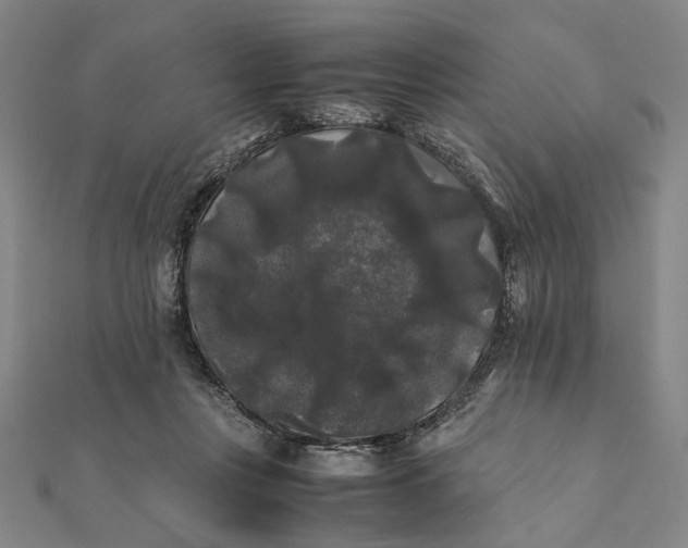 X0000112070359200908181225