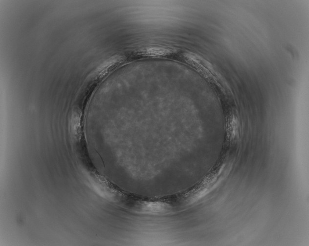 X0000112070360200908181225