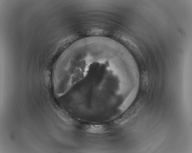 X0000112070361200908181225