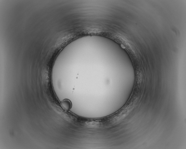 X0000112070362200908181225
