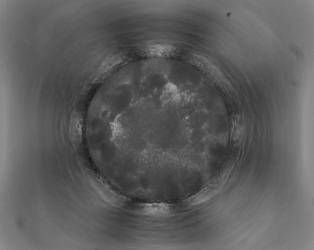 X0000112070363200908181225