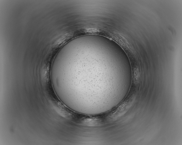 X0000112070364200908181225