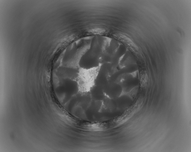 X0000112070365200908181225