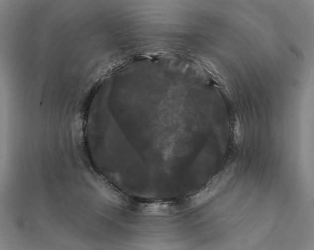 X0000112070366200908181225