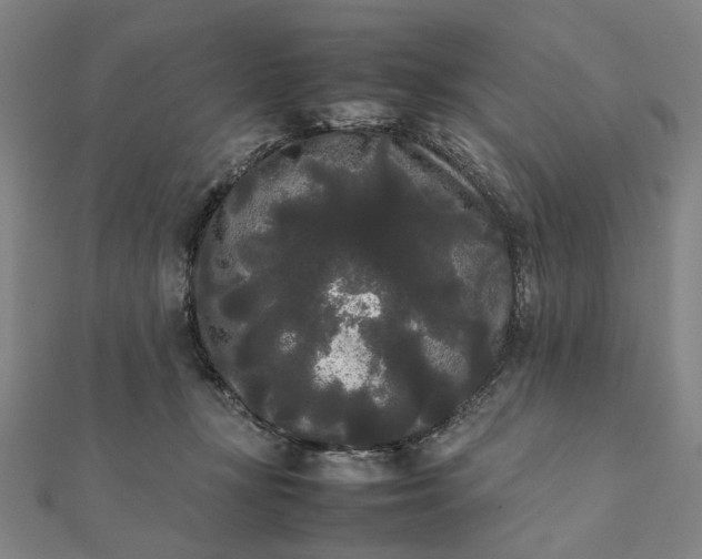 X0000112070367200908181225