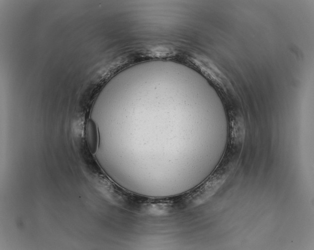 X0000112070368200908181225
