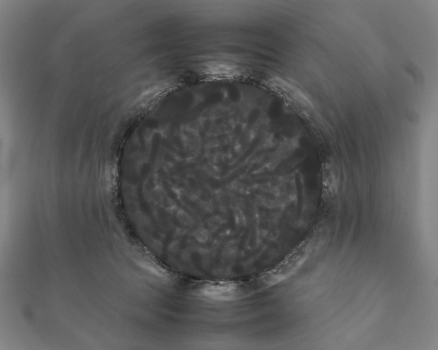 X0000112070369200908181225