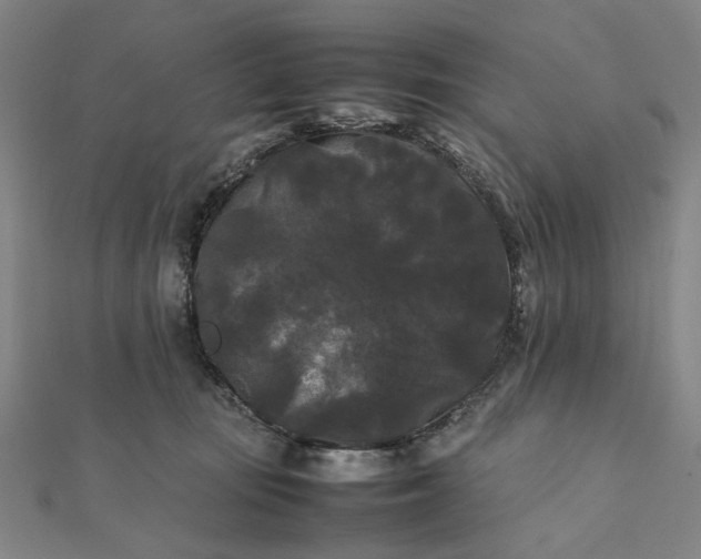 X0000112070371200908181225
