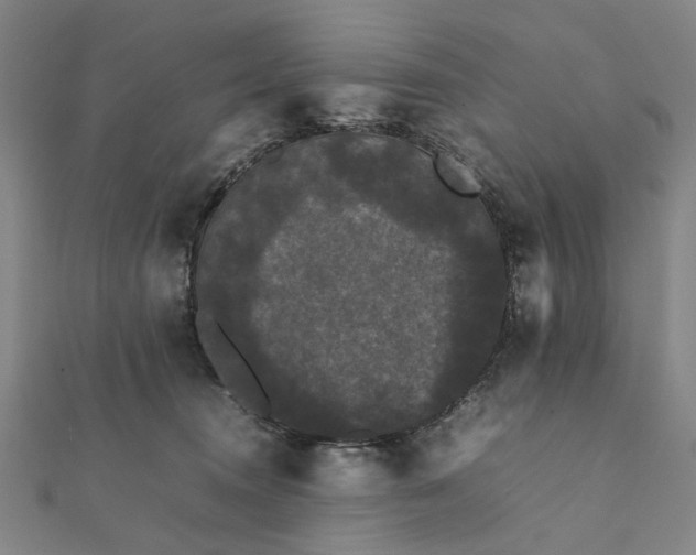 X0000112070372200908181225