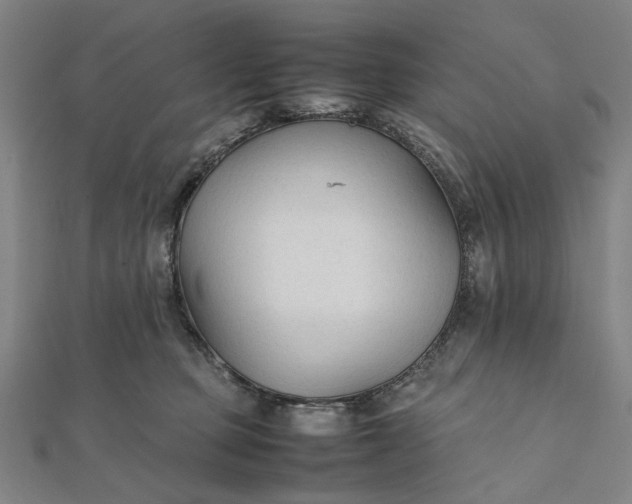 X0000112070373200908181225