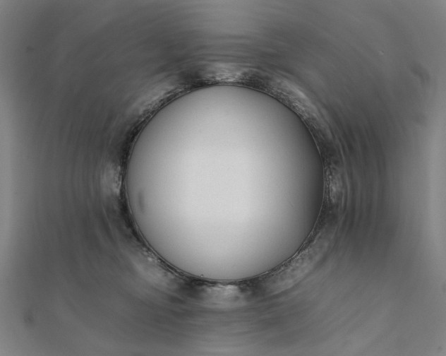 X0000112070374200908181225