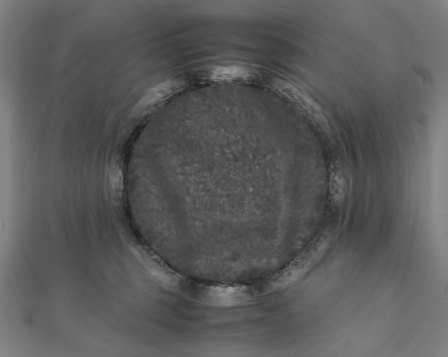 X0000112070375200908181225