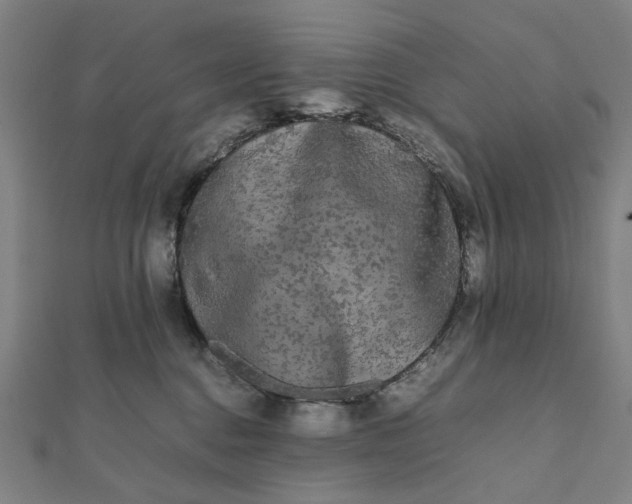 X0000112070376200908181225