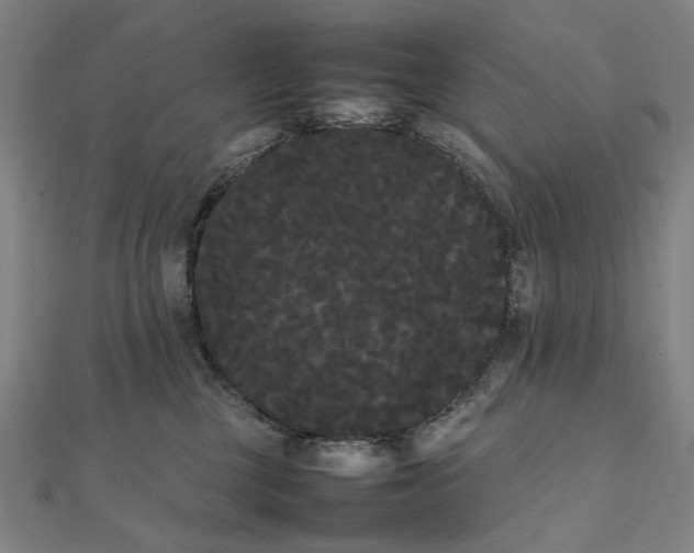 X0000112070377200908181225