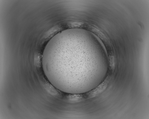 X0000112070378200908181225
