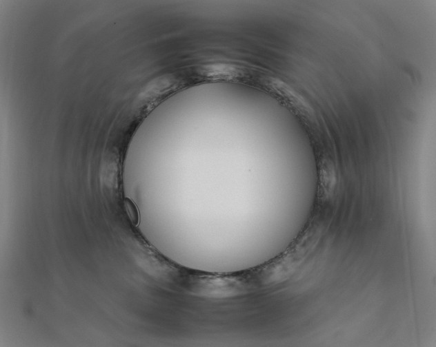 X0000112070379200908181225