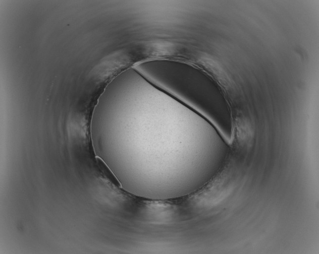 X0000112070380200908181225