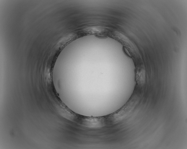 X0000112070381200908181225