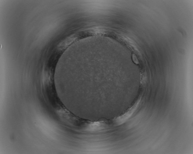X0000112070382200908181225