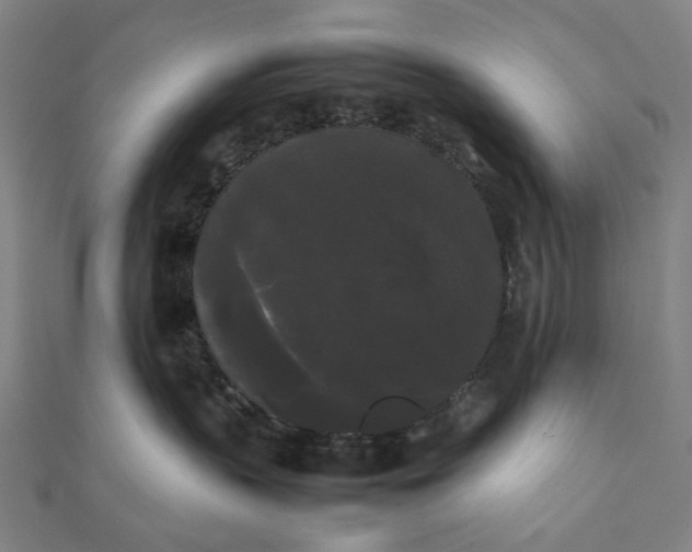 X0000112070383200908181225
