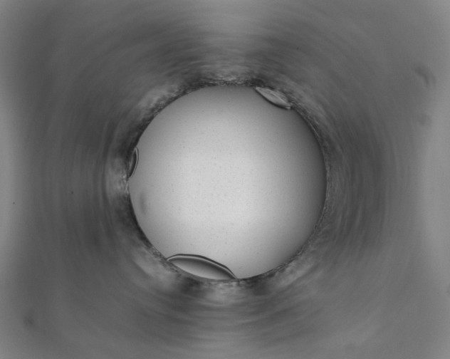 X0000112070384200908181225