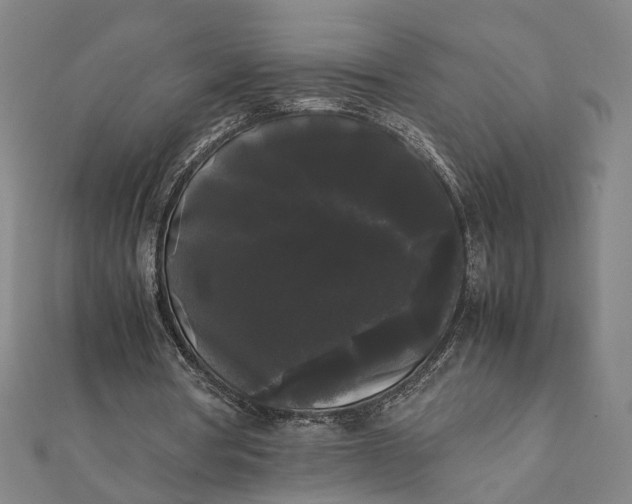 X0000112070386200908181225
