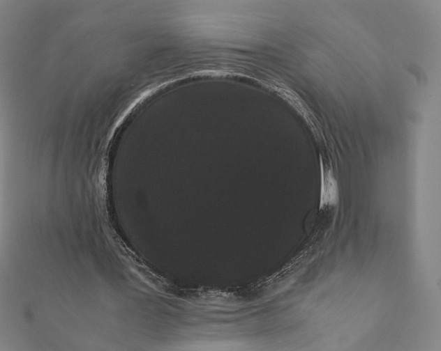 X0000112070387200908181225