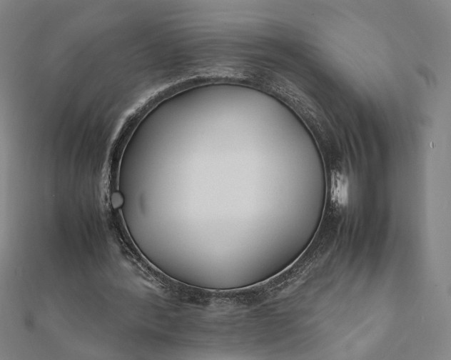 X0000112070388200908181225
