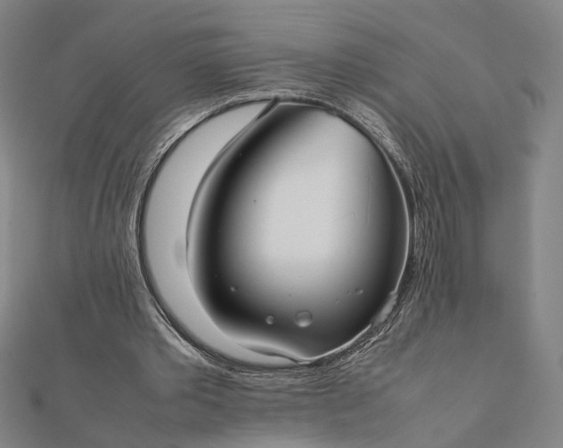 X0000112070389200908181225